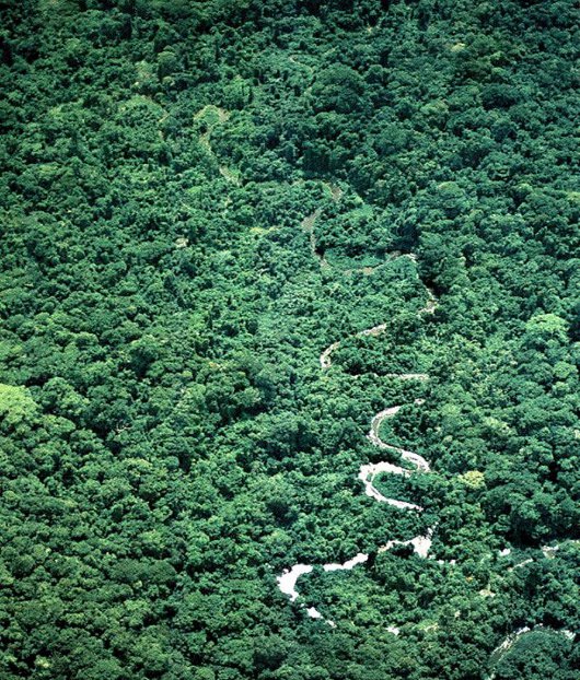 Amazon River View From Airplane