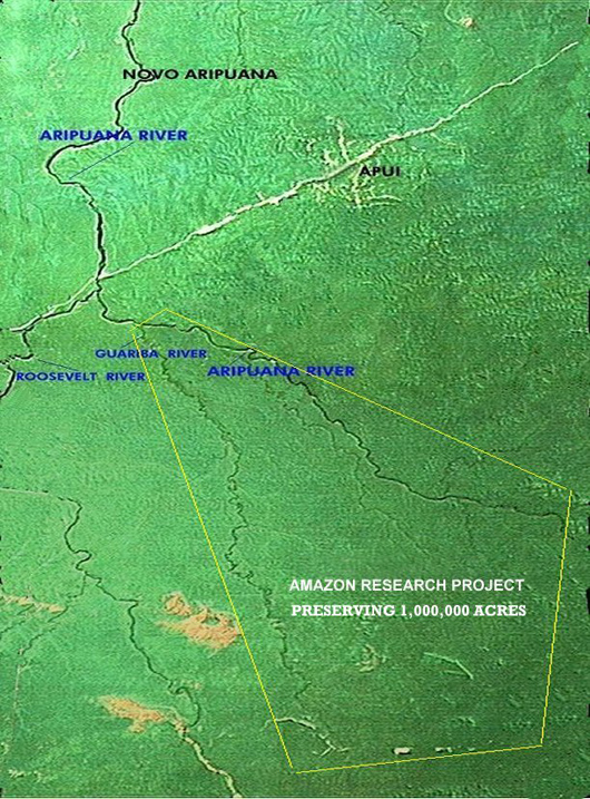 Amazon Jungle Preservation Map
