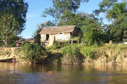 Amazon Village Houses